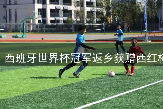 西班牙世界杯冠军返乡获赠"西红柿体重礼" 加维收获150磅
