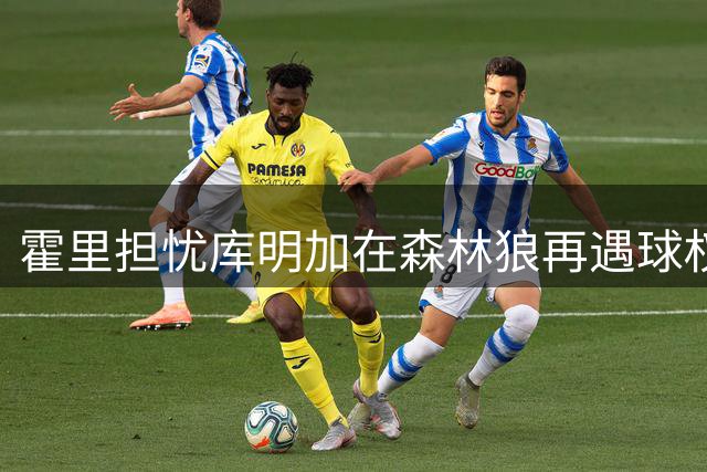 霍里担忧库明加在森林狼再遇球权困境